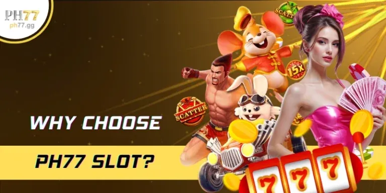 Ưu đãi hàng ngày và chương trình VIP